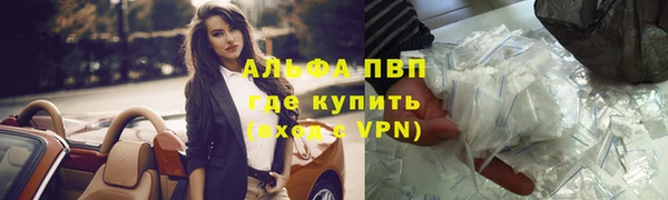 крисы Абаза