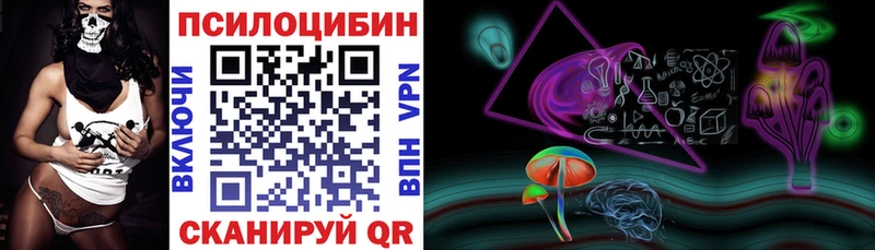 Псилоцибиновые грибы Cubensis  Нахабино 